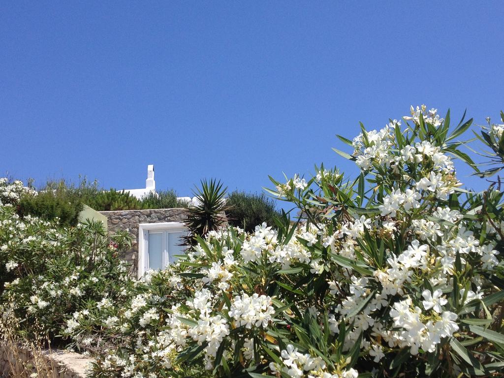 Mykonos Love Nest Ano Mera Phòng bức ảnh
